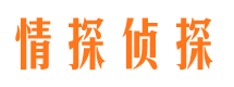 西和市私人侦探